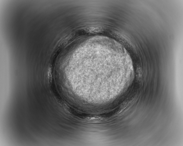 X0000096640506200802261301