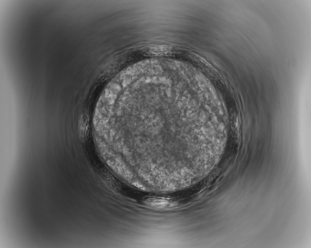 X0000096640507200802261301