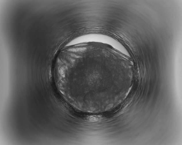 X0000096640508200802261301