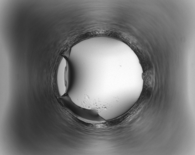 X0000096640509200802261301