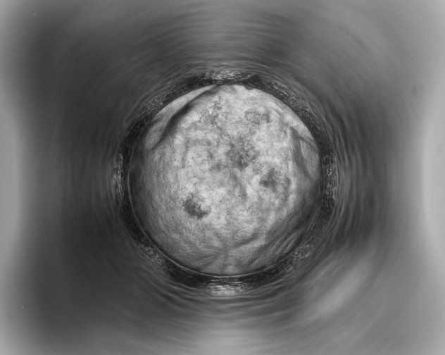 X0000096640510200802261301