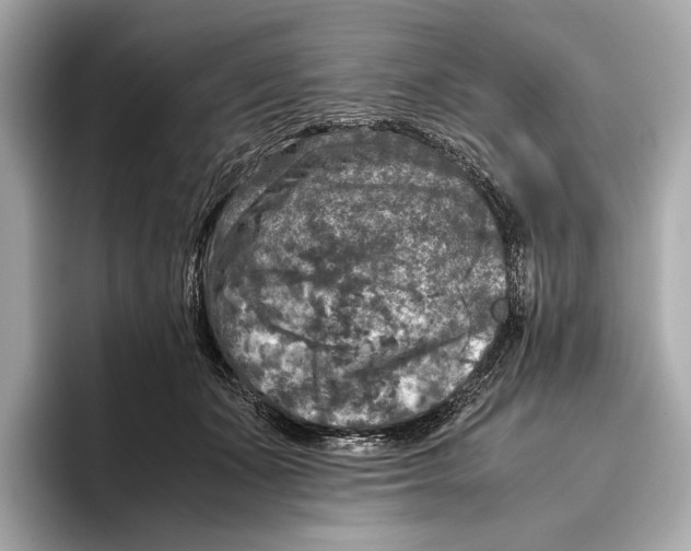 X0000096640511200802261301