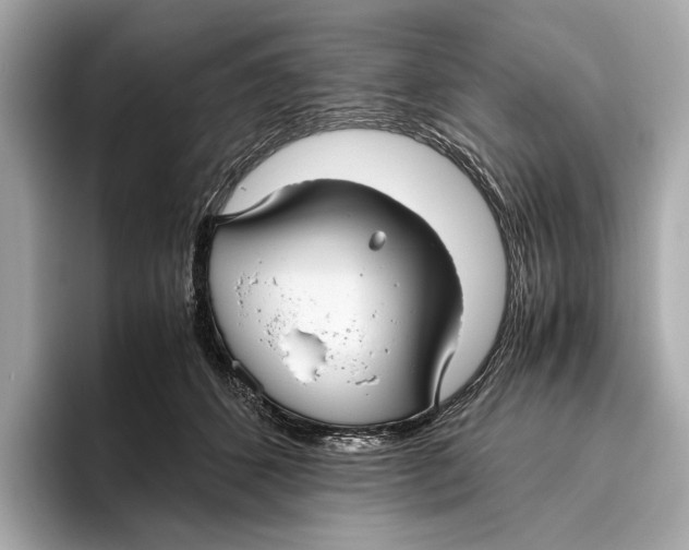 X0000096640512200802261301