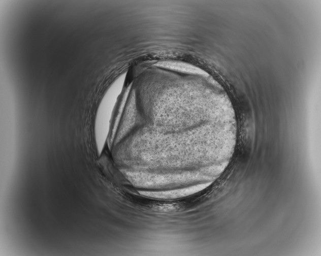 X0000096640513200802261301