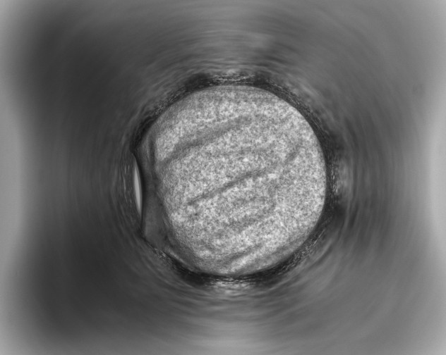 X0000096640515200802261301