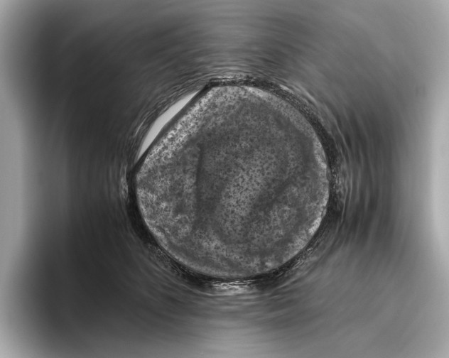 X0000096640516200802261301