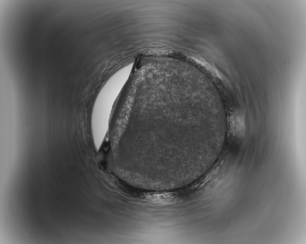 X0000096640517200802261301