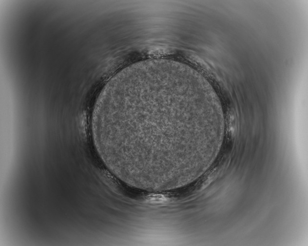 X0000096640519200802261301