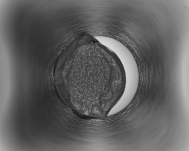 X0000096640520200802261301