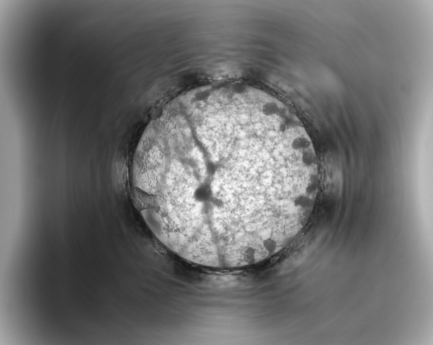 X0000096640523200802261301