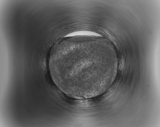 X0000096640524200802261301