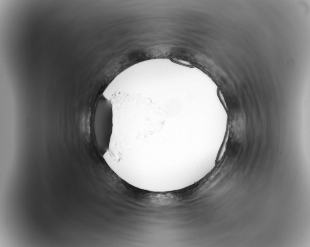 X0000096640525200802261301