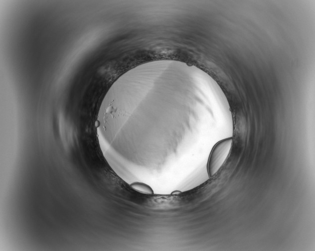 X0000096640526200802261301