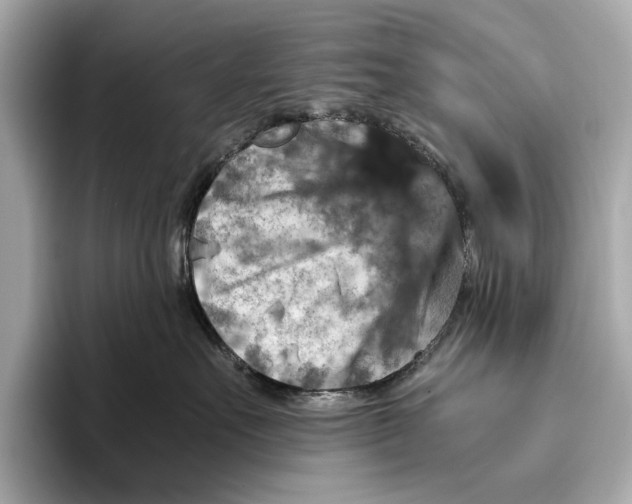 X0000096640527200802261301