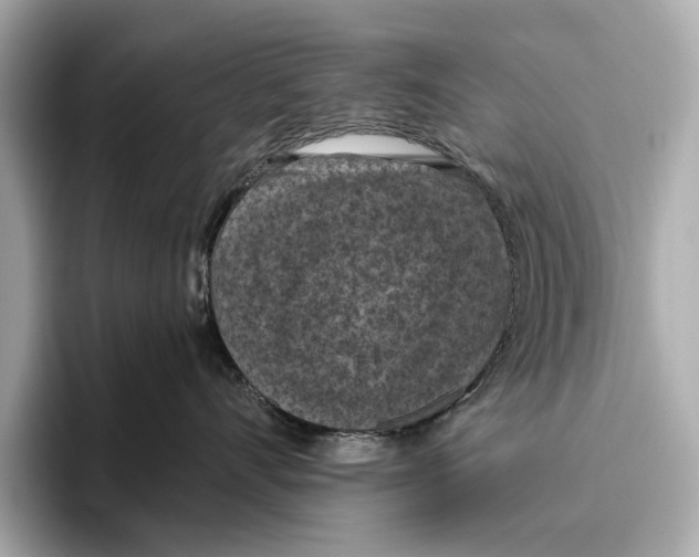 X0000096640528200802261301