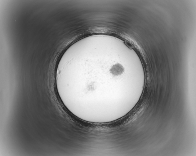 X0000096640529200802261300