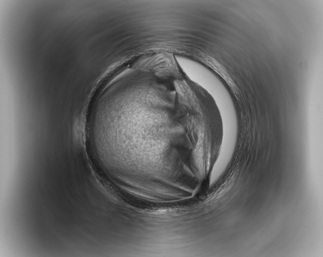 X0000096640530200802261300