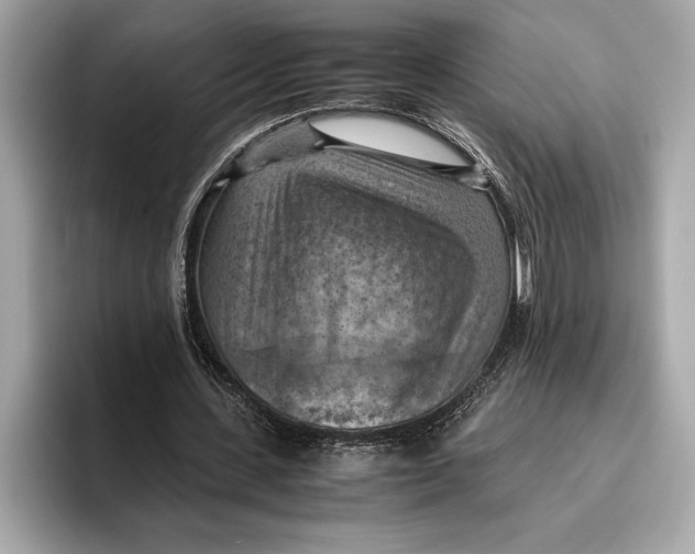 X0000096640531200802261300