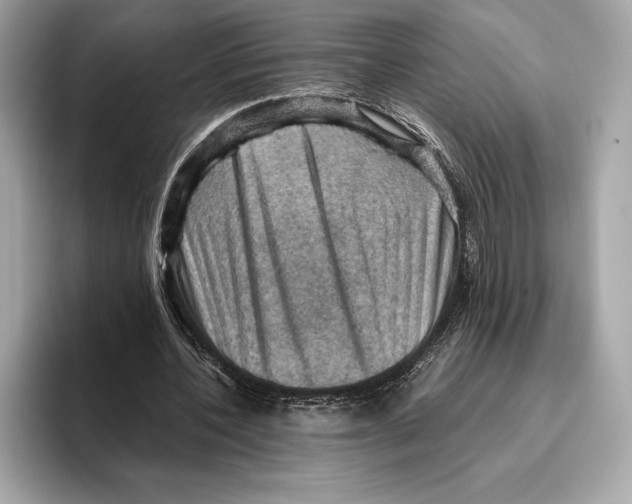 X0000096640532200802261300