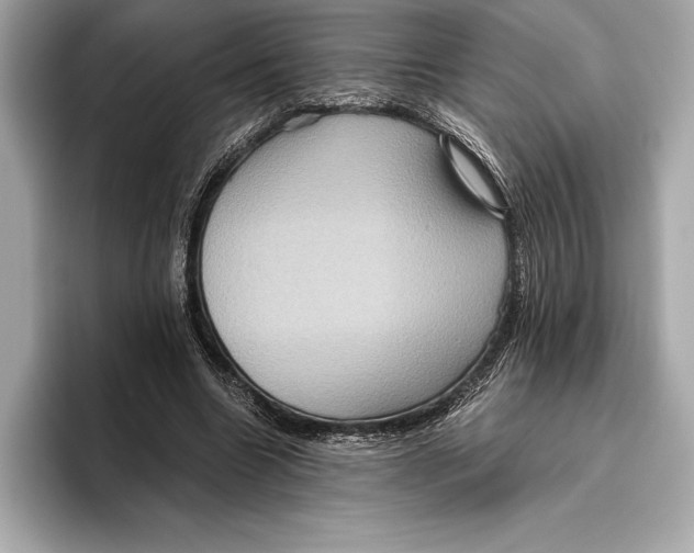 X0000096640538200802261300