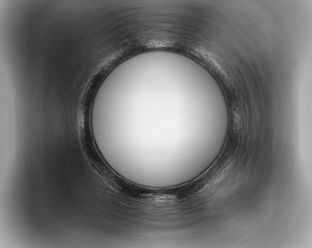 X0000096640539200802261300