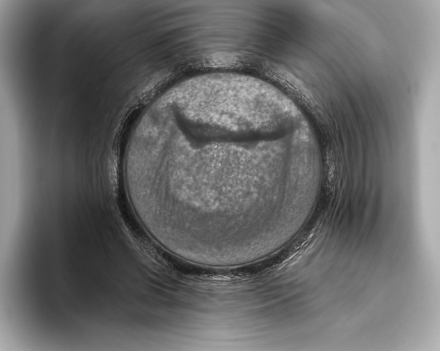 X0000096640542200802261300