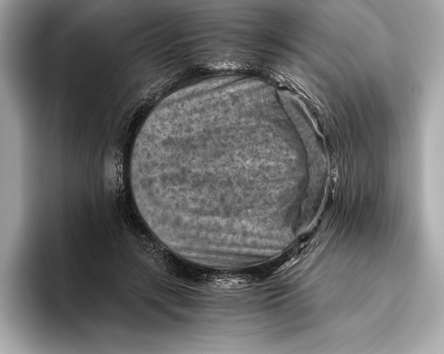 X0000096640547200802261300