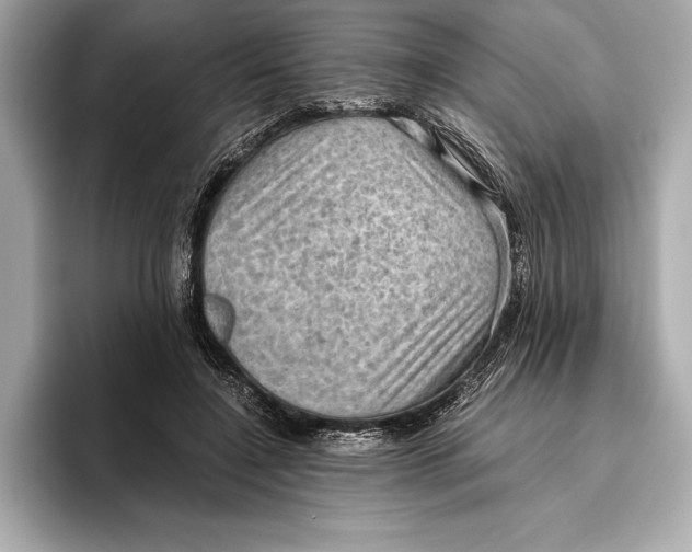 X0000096640548200802261300