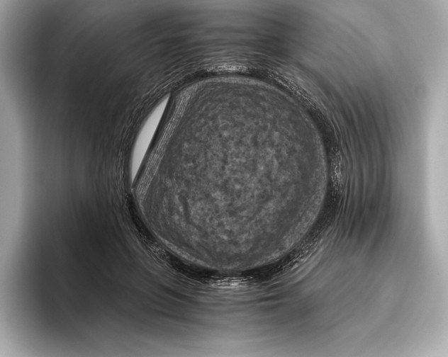 X0000096640551200802261300