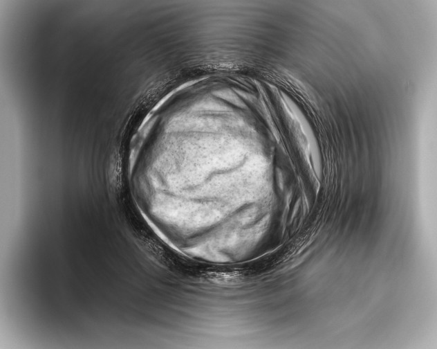 X0000096640552200802261300