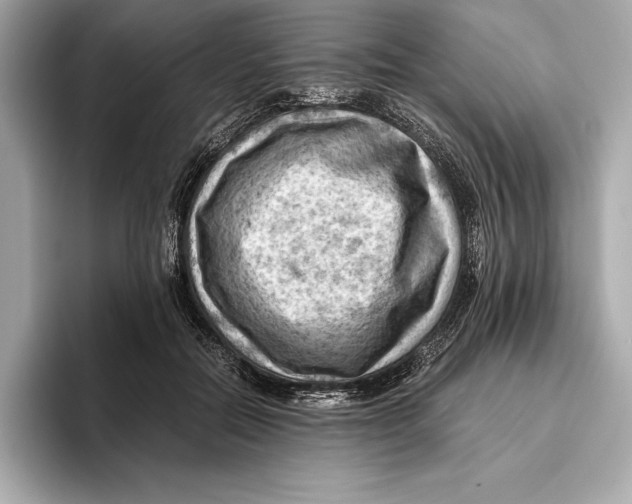 X0000096640554200802261300