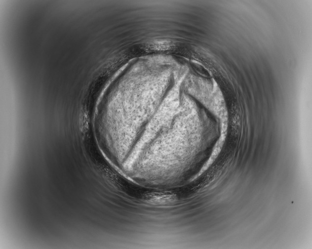 X0000096640555200802261300