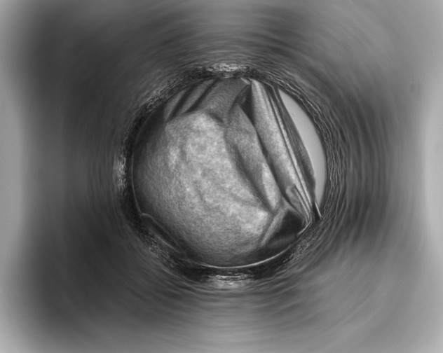 X0000096640556200802261300