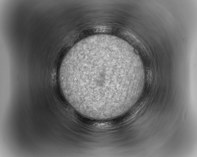 X0000096640557200802261300