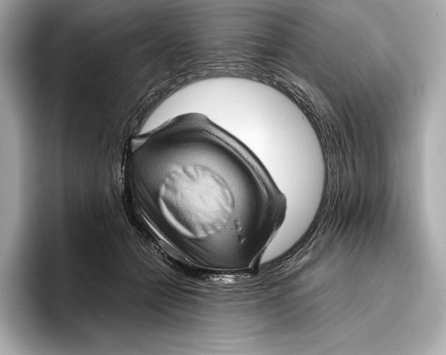 X0000096640558200802261300