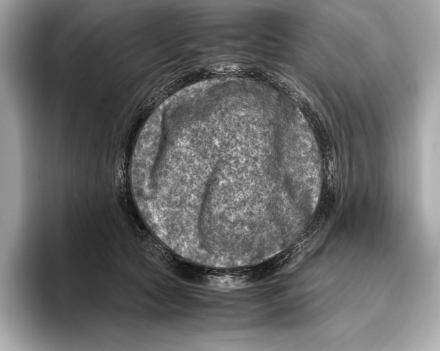 X0000096640561200802261300