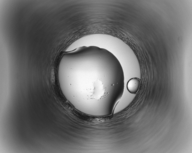 X0000096640562200802261300