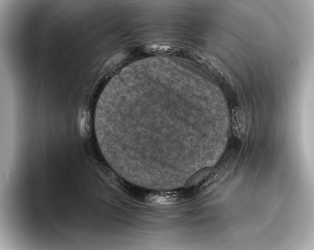 X0000096640563200802261300