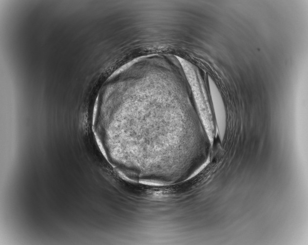 X0000096640564200802261300