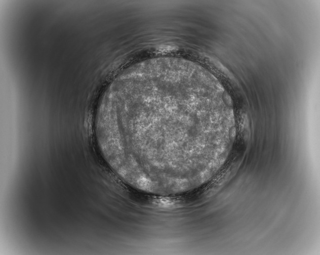 X0000096640565200802261300