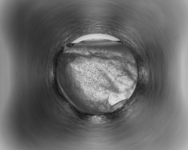 X0000096640566200802261300