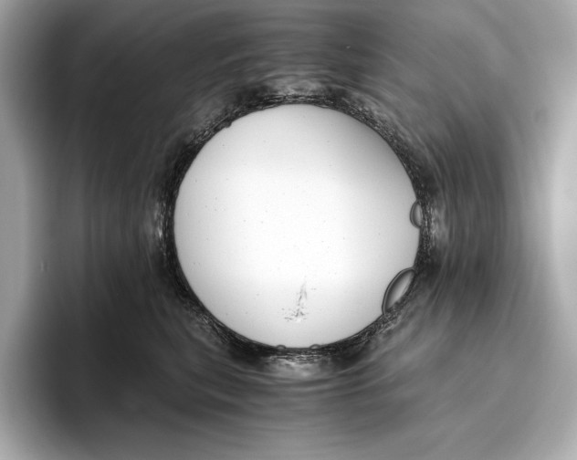 X0000096640567200802261300