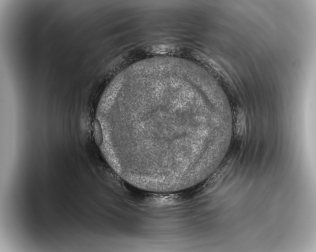 X0000096640569200802261301