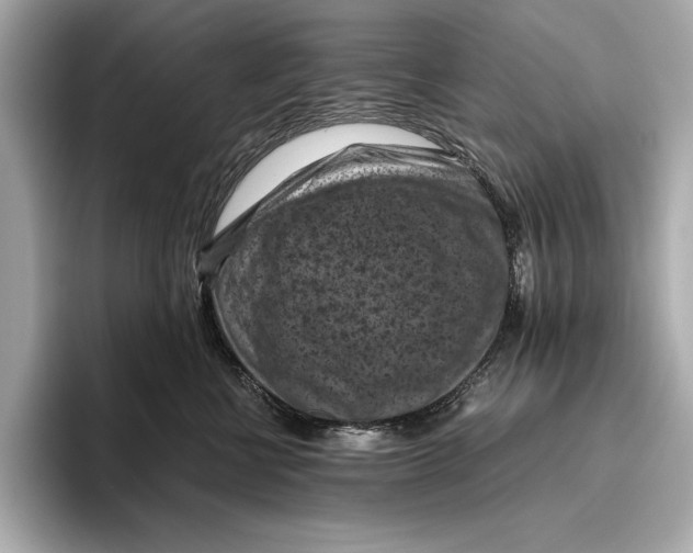 X0000096640570200802261301