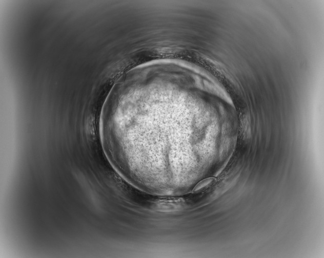 X0000096640571200802261301