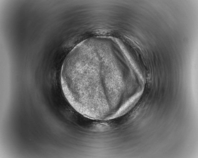 X0000096640572200802261301