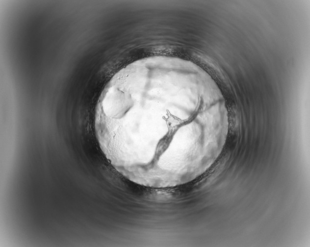 X0000096640573200802261301