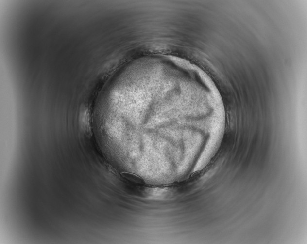 X0000096640575200802261301