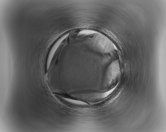 X0000096640577200802261300