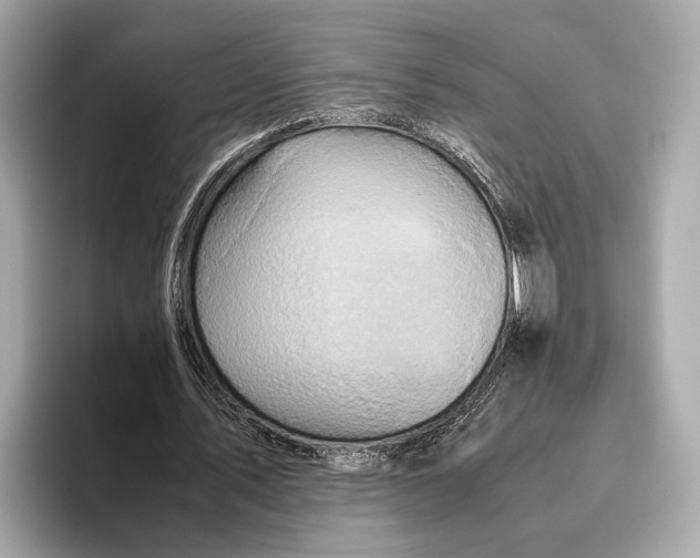 X0000096640579200802261300